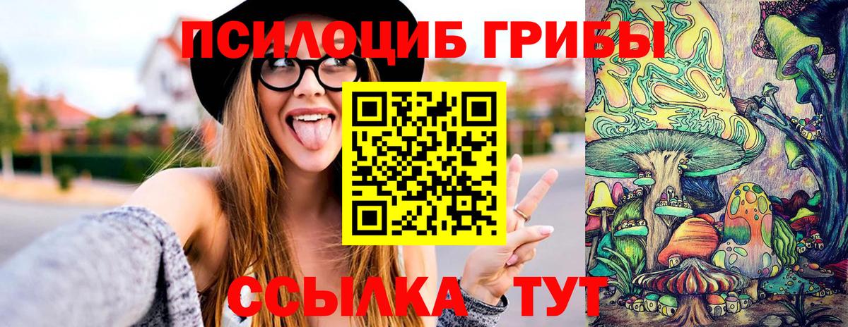 Псилоцибиновые грибы GOLDEN TEACHER Ревда